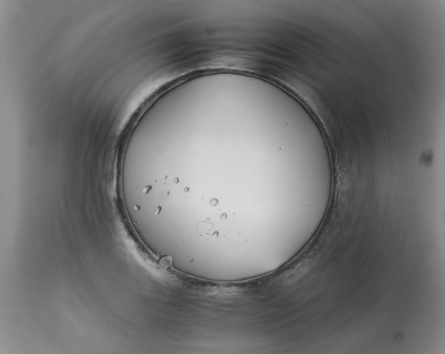 X0000113591131200910021710