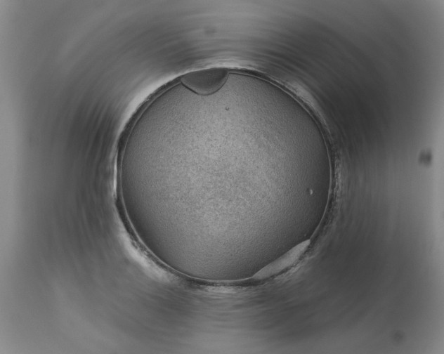 X0000113591132200910021710