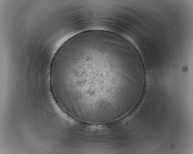 X0000113591133200910021710