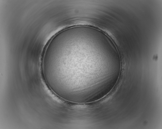 X0000113591134200910021710