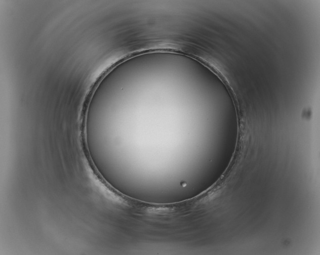 X0000113591135200910021710