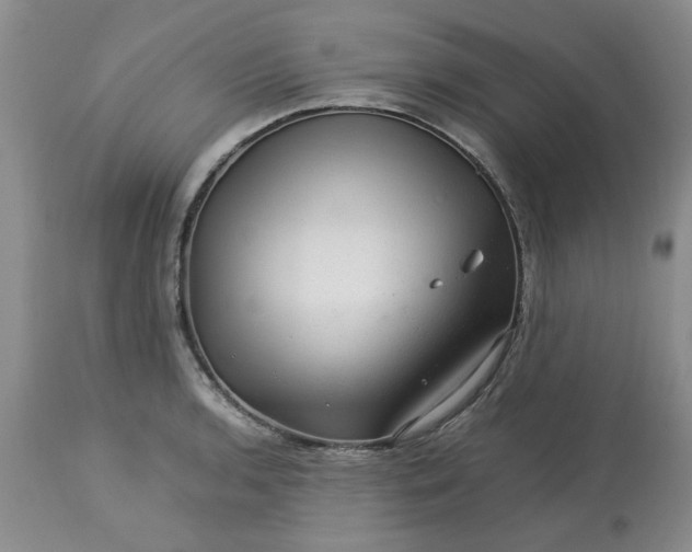 X0000113591136200910021710