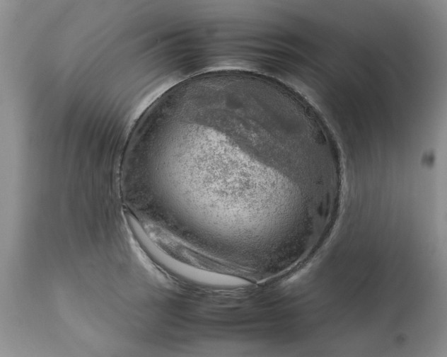 X0000113591137200910021710