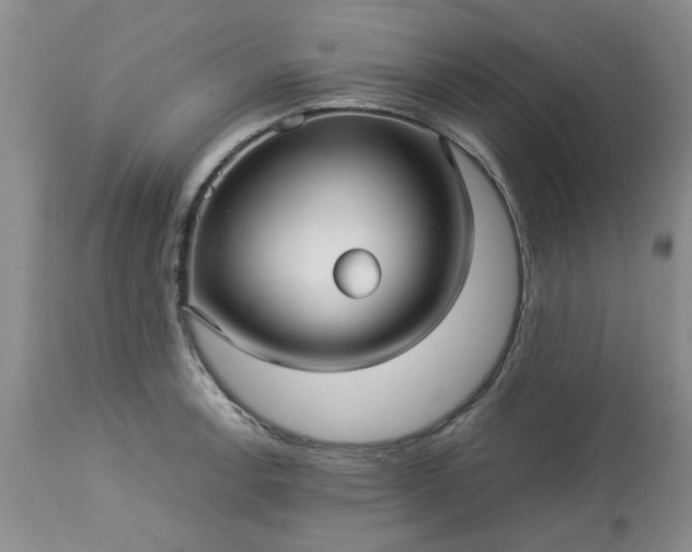 X0000113591138200910021710