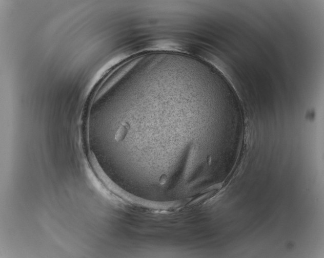 X0000113591139200910021710