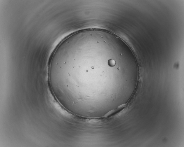 X0000113591140200910021710