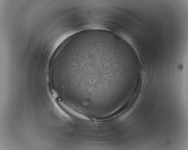 X0000113591141200910021710