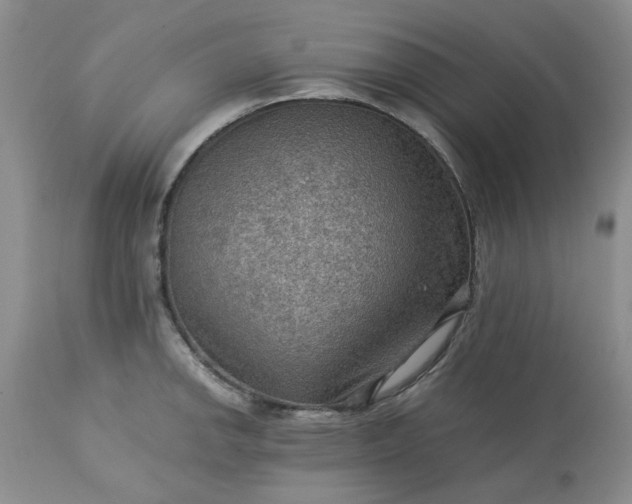 X0000113591142200910021710