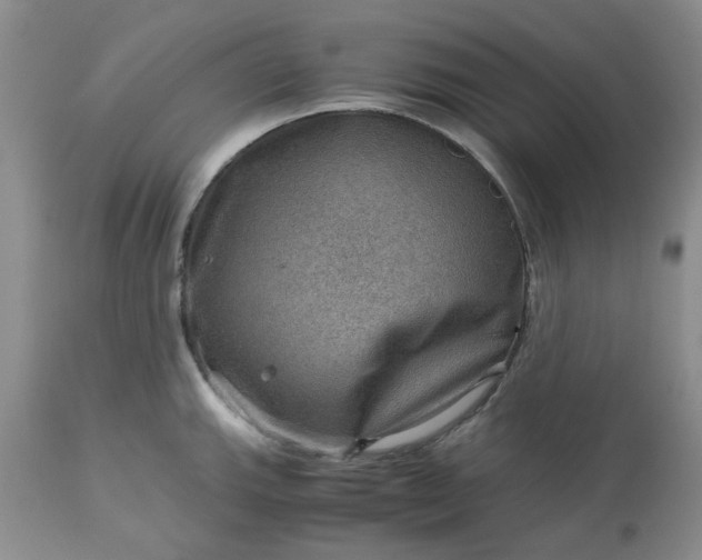 X0000113591143200910021711