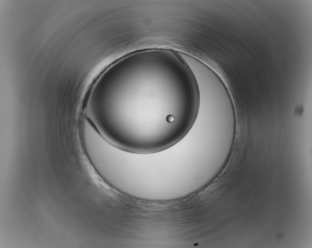 X0000113591144200910021711