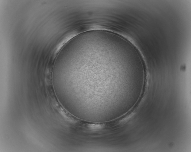 X0000113591145200910021711