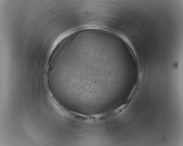 X0000113591146200910021711