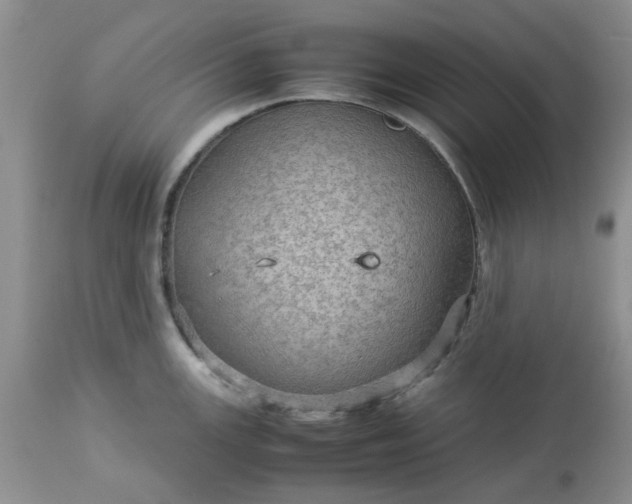 X0000113591147200910021711