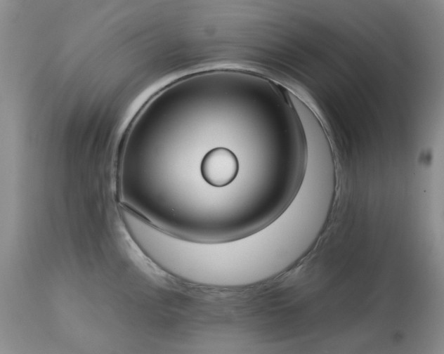 X0000113591148200910021711