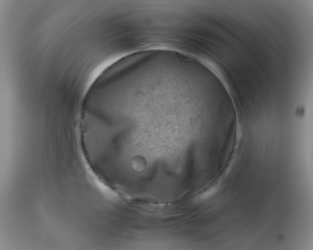 X0000113591149200910021711