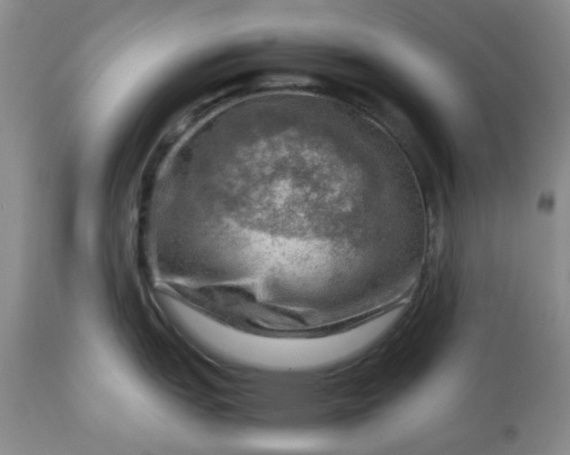 X0000113591151200910021711