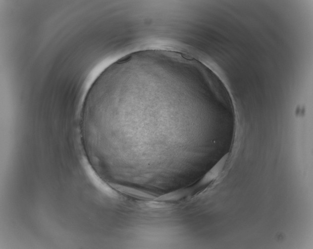 X0000113591152200910021711