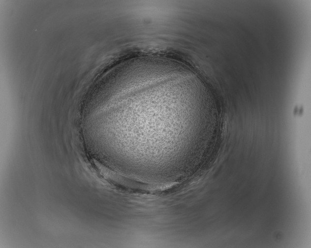 X0000113591153200910021710