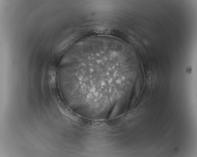 X0000113591154200910021710