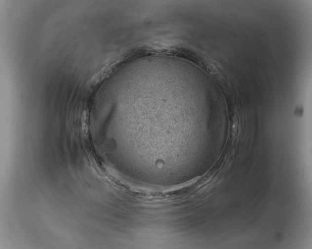 X0000113591156200910021710