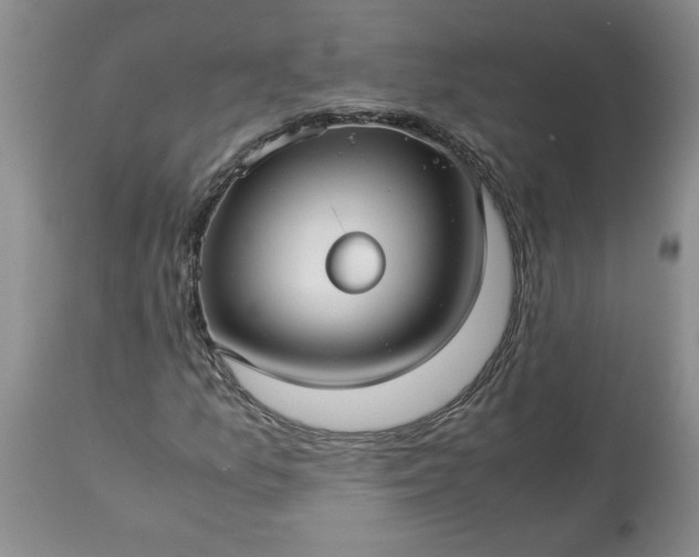 X0000113591157200910021710