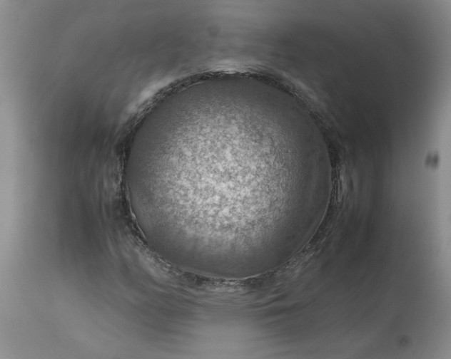 X0000113591158200910021710