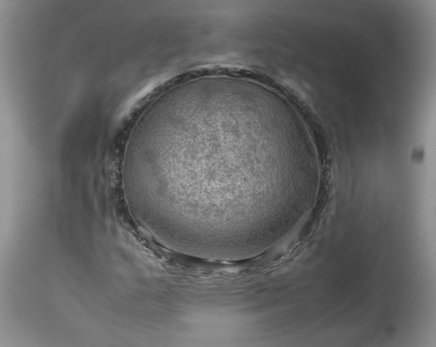 X0000113591159200910021710