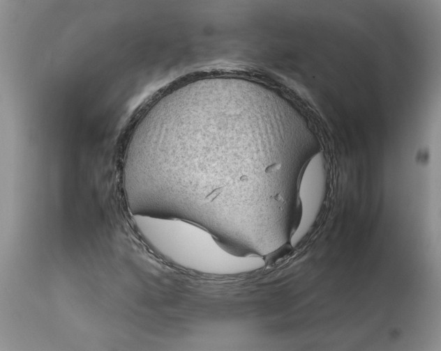 X0000113591160200910021710