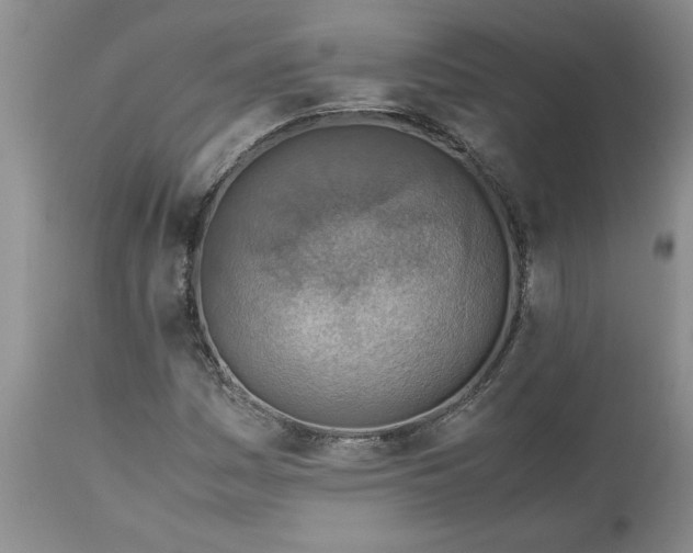 X0000113591161200910021710