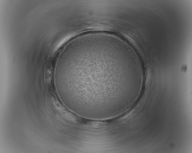 X0000113591163200910021710