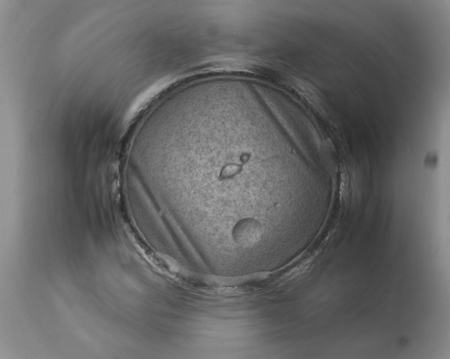 X0000113591164200910021710