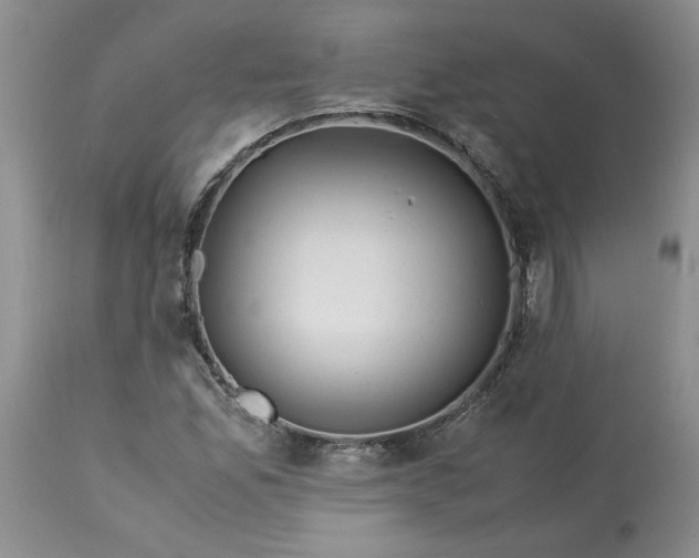 X0000113591165200910021710