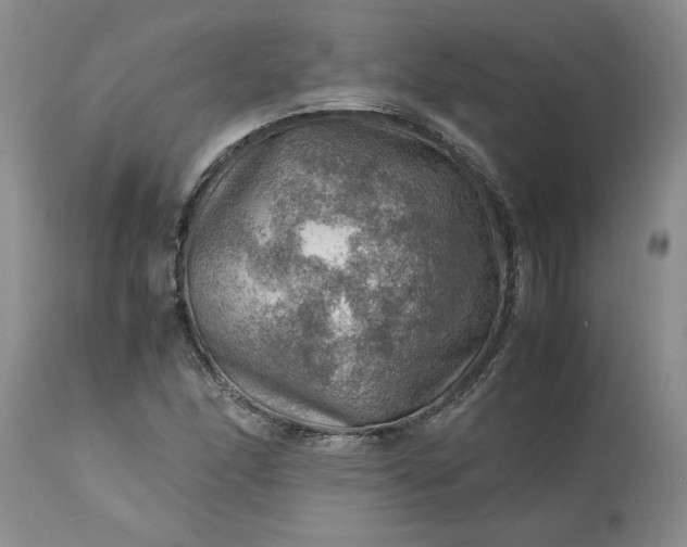 X0000113591166200910021710