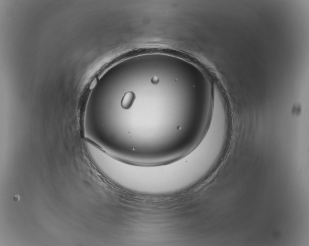 X0000113591167200910021710