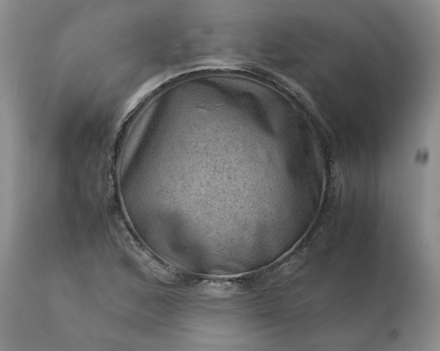 X0000113591168200910021710