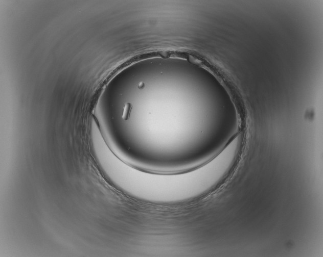 X0000113591169200910021710