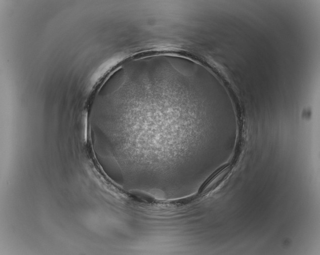 X0000113591171200910021710