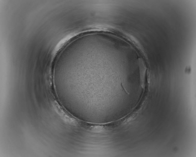 X0000113591172200910021710