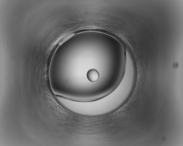 X0000113591173200910021710