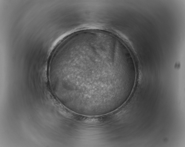 X0000113591174200910021710