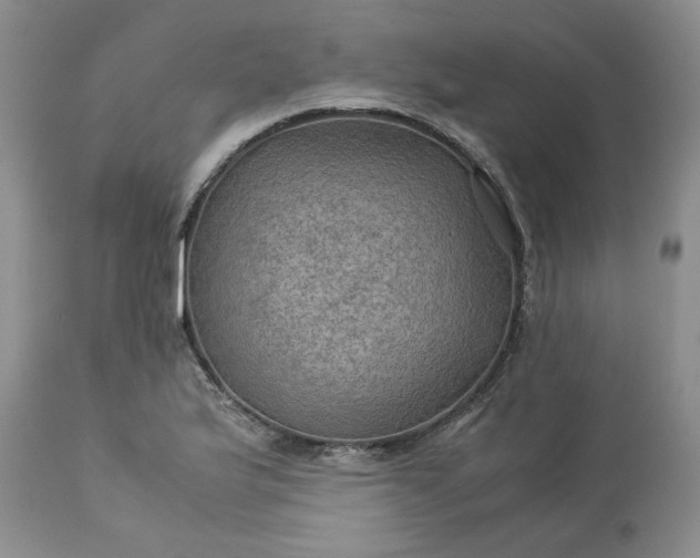 X0000113591175200910021709