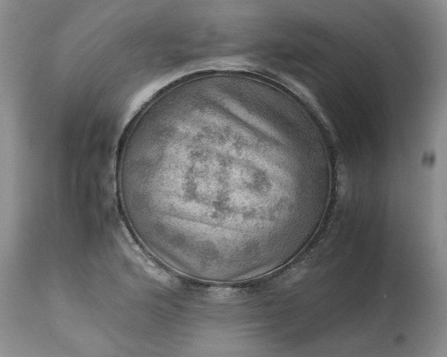 X0000113591176200910021709