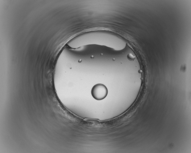 X0000113591177200910021709