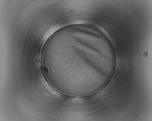 X0000113591178200910021709