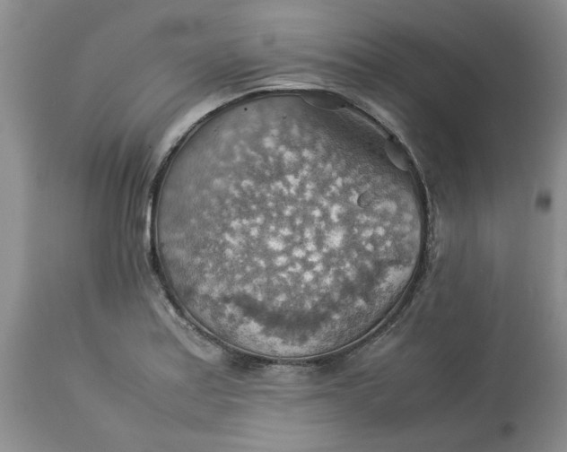 X0000113591179200910021709