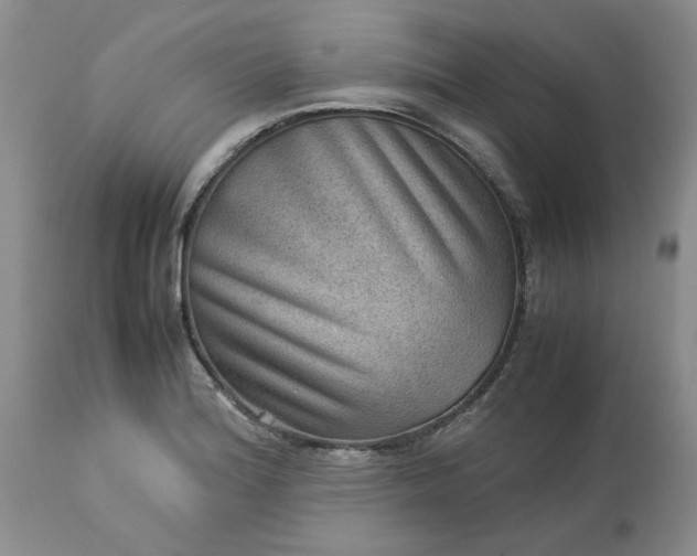 X0000113591180200910021709