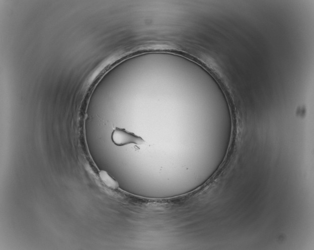 X0000113591181200910021709