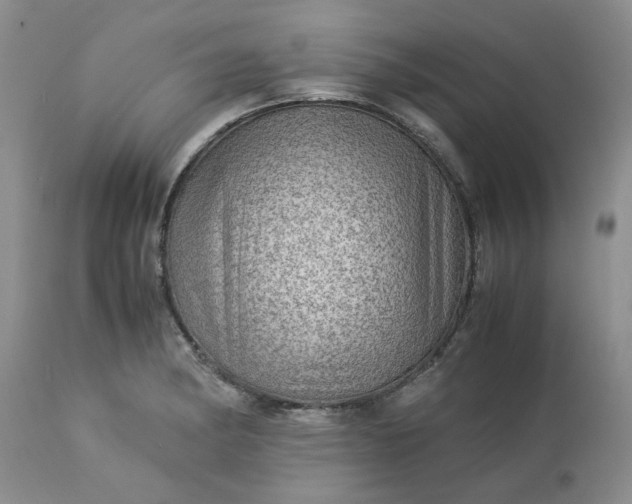 X0000113591182200910021709