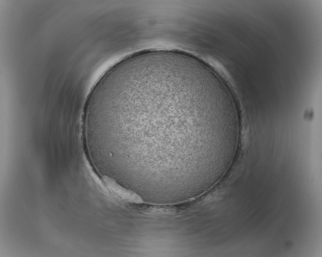 X0000113591183200910021709