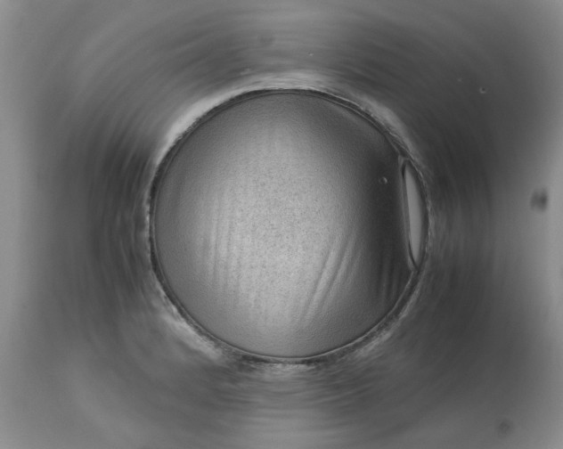 X0000113591184200910021709